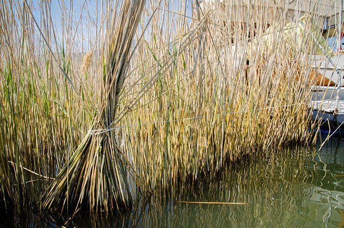 Eenvoudig en slim: gebruik maken van de natuurlijke ankers!