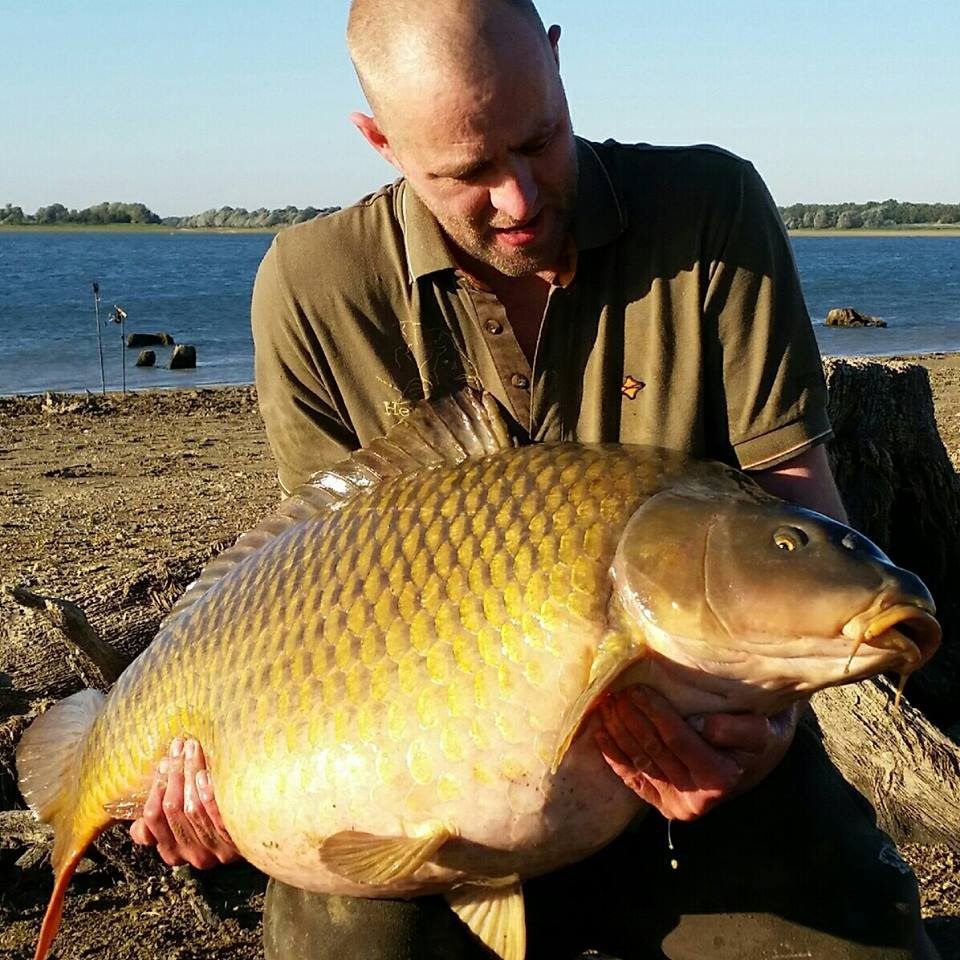 Een grote schub van Lac du Der, ook deze vis kwam van een stevig voertapijt.