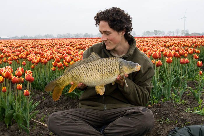 Alles om mij heen komt tot leven.