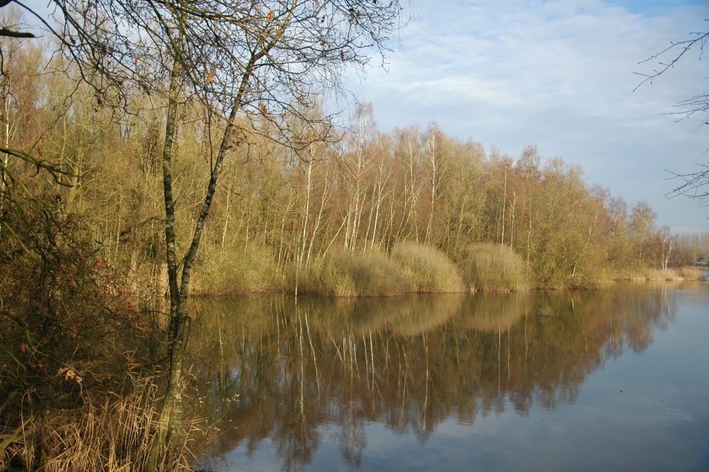 Zonnige kant van het water - tips vangen paaskarper