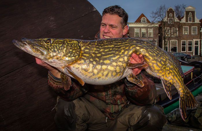 wintertips-karpervissen-deel-1-snoek