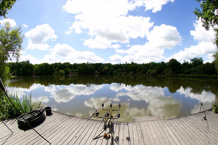 btw-revealed-windmill-lake-carp-specialist-14