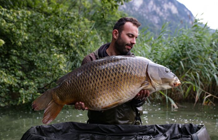 Een droom in de Alpen – Dominik Hengstschläger