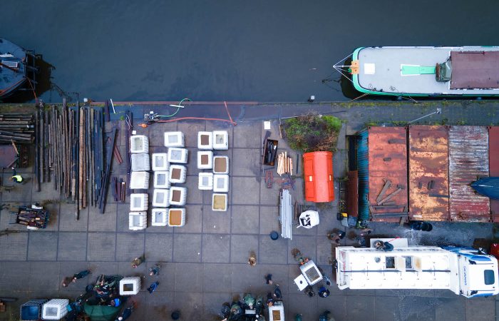Dit is de grootste karperuitzetting die we ooit hebben gezien | KWO For The Future Fryslân